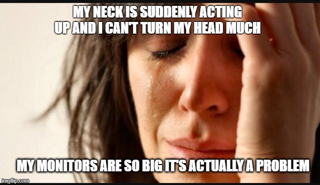 1st world reverse | MY NECK IS SUDDENLY ACTING UP AND I CAN'T TURN MY HEAD MUCH; MY MONITORS ARE SO BIG IT'S ACTUALLY A PROBLEM | image tagged in 1st world reverse | made w/ Imgflip meme maker