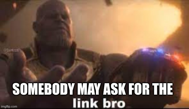 link bro | SOMEBODY MAY ASK FOR THE | image tagged in link bro | made w/ Imgflip meme maker