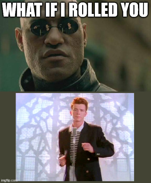 goodbye my meme account | WHAT IF I ROLLED YOU | image tagged in memes,matrix morpheus | made w/ Imgflip meme maker