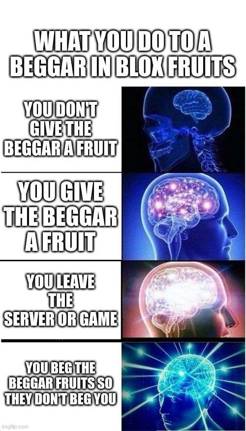 Blox fruits | WHAT YOU DO TO A BEGGAR IN BLOX FRUITS; YOU DON'T GIVE THE BEGGAR A FRUIT; YOU GIVE THE BEGGAR A FRUIT; YOU LEAVE THE SERVER OR GAME; YOU BEG THE BEGGAR FRUITS SO THEY DON'T BEG YOU | image tagged in memes,expanding brain | made w/ Imgflip meme maker