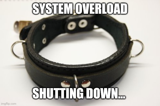 bdsm collar | SYSTEM OVERLOAD SHUTTING DOWN... | image tagged in bdsm collar | made w/ Imgflip meme maker