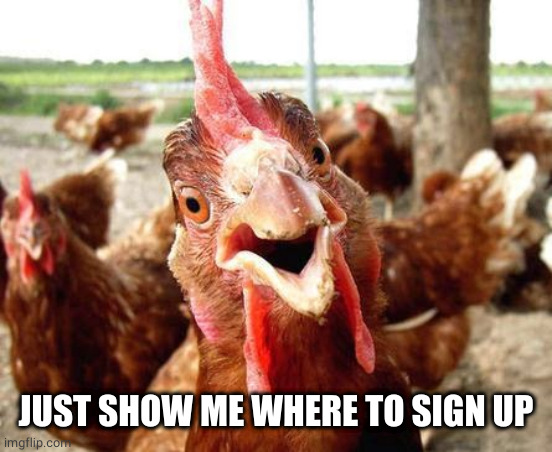 Chicken | JUST SHOW ME WHERE TO SIGN UP | image tagged in chicken | made w/ Imgflip meme maker