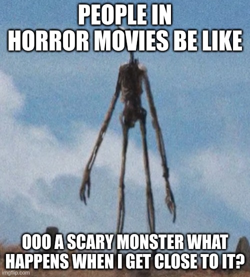 ??????? | PEOPLE IN HORROR MOVIES BE LIKE; OOO A SCARY MONSTER WHAT HAPPENS WHEN I GET CLOSE TO IT? | image tagged in siren head | made w/ Imgflip meme maker