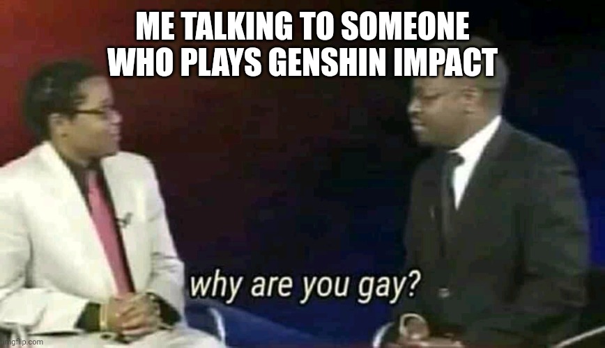 Why are you gay? | ME TALKING TO SOMEONE WHO PLAYS GENSHIN IMPACT | image tagged in why are you gay | made w/ Imgflip meme maker