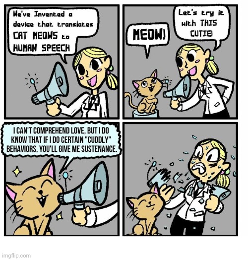 Loud cat | image tagged in loud,cat,comics,comics/cartoons,cats,loudly | made w/ Imgflip meme maker
