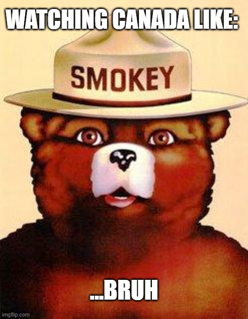 Looks apocalyptic out there | WATCHING CANADA LIKE:; ...BRUH | image tagged in smokey the bear,wildfires,smoke | made w/ Imgflip meme maker