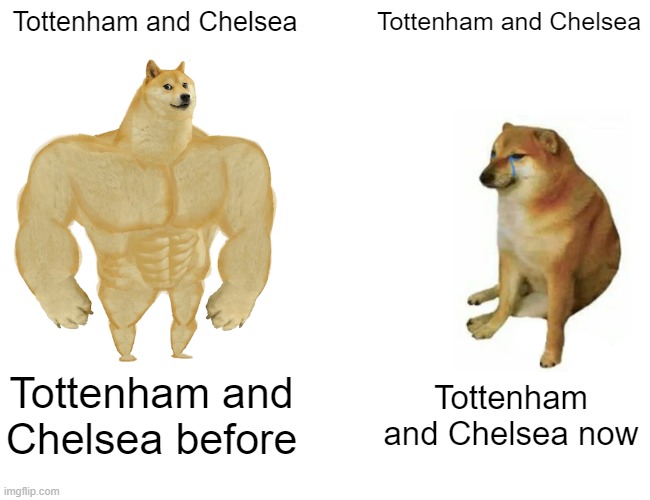 so true Lol | Tottenham and Chelsea; Tottenham and Chelsea; Tottenham and Chelsea before; Tottenham and Chelsea now | image tagged in memes,buff doge vs cheems | made w/ Imgflip meme maker