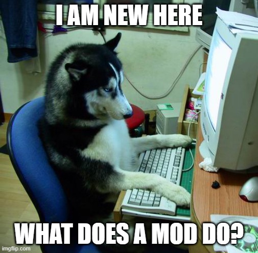 I Have No Idea What I Am Doing | I AM NEW HERE; WHAT DOES A MOD DO? | image tagged in memes,i have no idea what i am doing | made w/ Imgflip meme maker