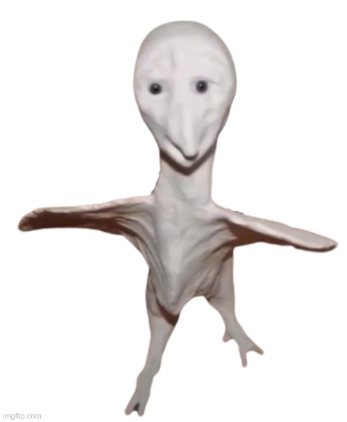 Sussy T-posing Chicken | image tagged in sussy t-posing chicken | made w/ Imgflip meme maker