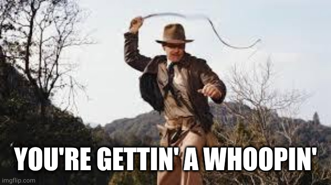 Whip | YOU'RE GETTIN' A WHOOPIN' | image tagged in whip | made w/ Imgflip meme maker