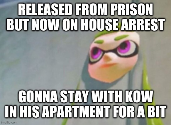 Hope he doesn’t mind. | RELEASED FROM PRISON BUT NOW ON HOUSE ARREST; GONNA STAY WITH KOW IN HIS APARTMENT FOR A BIT | image tagged in woomy in the wall glitch splatoon | made w/ Imgflip meme maker