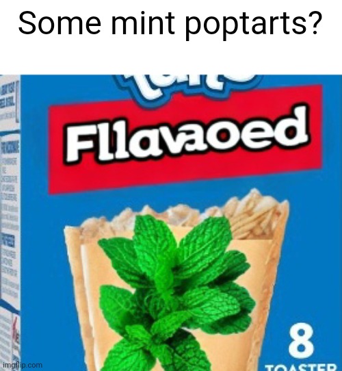 Mint Poptartss | Some mint poptarts? | image tagged in poptart,funny,flavor flav,memes,funny memes,mint | made w/ Imgflip meme maker