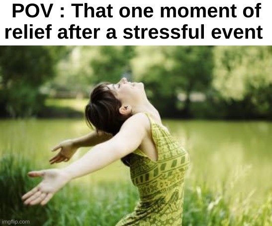"Pfew" | POV : That one moment of relief after a stressful event | image tagged in memes,funny,relatable,stress,relief,front page plz | made w/ Imgflip meme maker