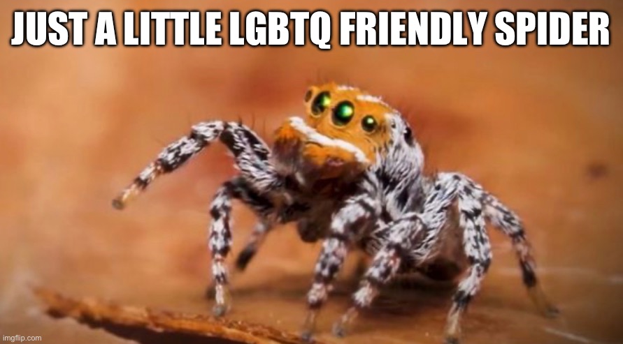 Who likes Flip?! | JUST A LITTLE LGBTQ FRIENDLY SPIDER | made w/ Imgflip meme maker