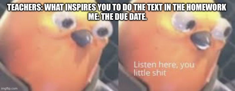 Listen here you little shit bird | TEACHERS: WHAT INSPIRES YOU TO DO THE TEXT IN THE HOMEWORK 
ME: THE DUE DATE. | image tagged in listen here you little shit bird,memes | made w/ Imgflip meme maker