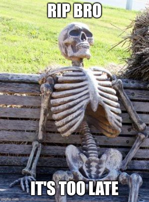 Waiting Skeleton Meme | RIP BRO IT'S TOO LATE | image tagged in memes,waiting skeleton | made w/ Imgflip meme maker