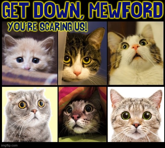 GET DOWN, MEWFORD | made w/ Imgflip meme maker