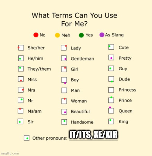 I mainly use he/him and they/them. But I don't mind neopronuouns and it/it's | IT/ITS, XE/XIR | image tagged in pronouns sheet | made w/ Imgflip meme maker