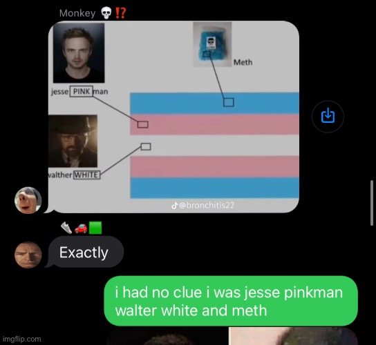how i came out to my gc ;-; (their names are inside jokes, other notable names in the gc are “Kraut” and “Homeless Man” | image tagged in friends,transgender,breaking bad | made w/ Imgflip meme maker