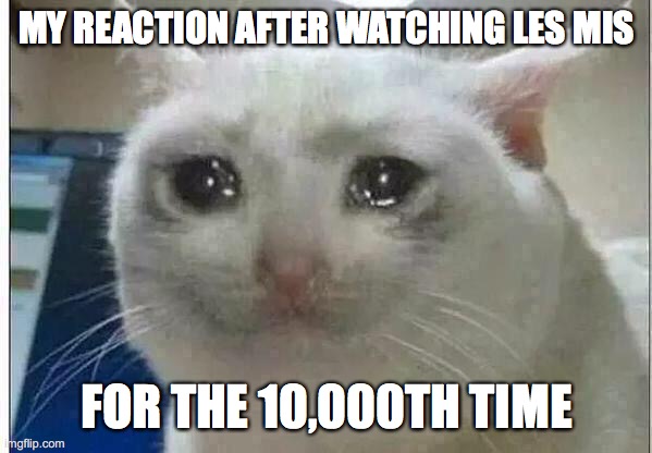 It's my favorite musical, the barricade falling gets me every time | MY REACTION AFTER WATCHING LES MIS; FOR THE 10,000TH TIME | image tagged in crying cat | made w/ Imgflip meme maker