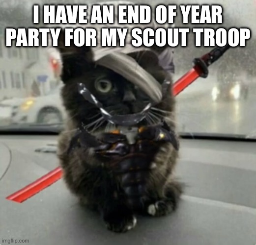 I’ll be back in like 2 hours | I HAVE AN END OF YEAR PARTY FOR MY SCOUT TROOP | image tagged in raiden cat | made w/ Imgflip meme maker