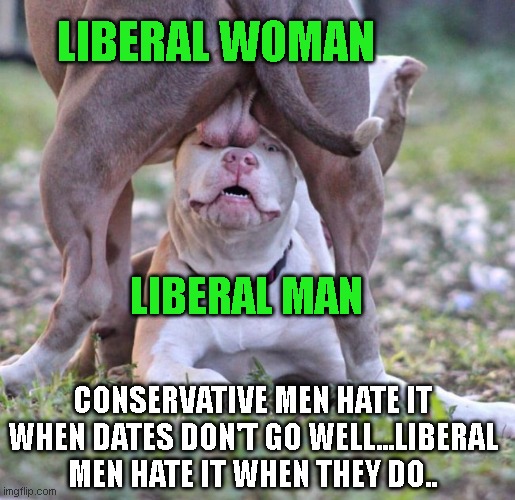 Balls in face | LIBERAL WOMAN; LIBERAL MAN; CONSERVATIVE MEN HATE IT WHEN DATES DON'T GO WELL...LIBERAL MEN HATE IT WHEN THEY DO.. | image tagged in balls in face | made w/ Imgflip meme maker