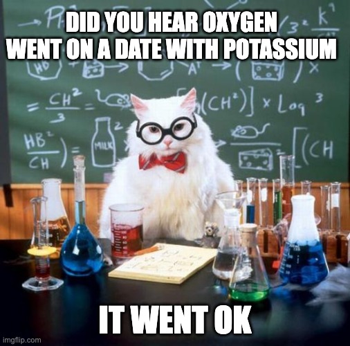 OK | DID YOU HEAR OXYGEN WENT ON A DATE WITH POTASSIUM; IT WENT OK | image tagged in memes,chemistry cat | made w/ Imgflip meme maker