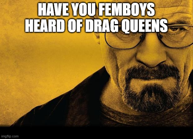 a question from a biological female who identifies as genderfluid and dresses in a pastel goth gyaru sytle | HAVE YOU FEMBOYS HEARD OF DRAG QUEENS | image tagged in breaking bad,femboy,drag queen | made w/ Imgflip meme maker