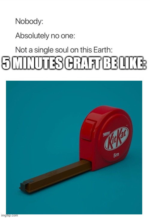 5 minutes craft have gone so far | 5 MINUTES CRAFT BE LIKE: | image tagged in nobody absolutely no one | made w/ Imgflip meme maker