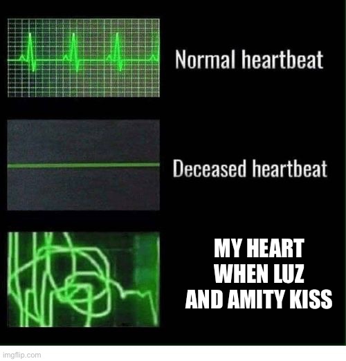 Lumity in a nutshell | MY HEART WHEN LUZ AND AMITY KISS | image tagged in normal heartbeat deceased heartbeat,the owl house | made w/ Imgflip meme maker