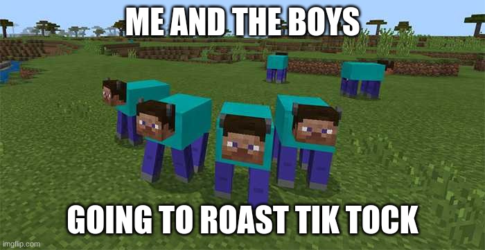 Youtube is better | ME AND THE BOYS; GOING TO ROAST TIK TOCK | image tagged in me and the boys | made w/ Imgflip meme maker