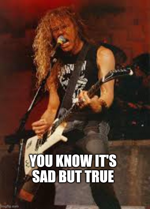 James Hetfield Metallica | YOU KNOW IT'S SAD BUT TRUE | image tagged in james hetfield metallica | made w/ Imgflip meme maker