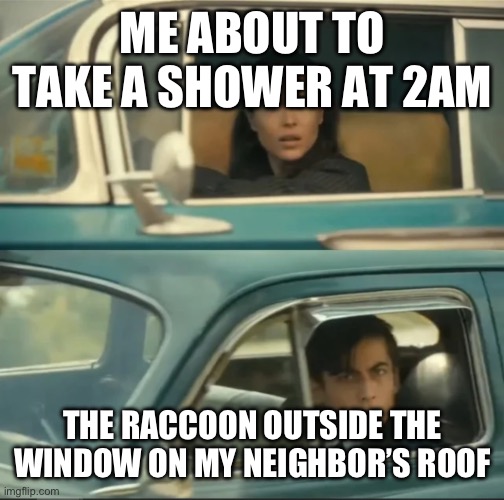 Based on a true story | ME ABOUT TO TAKE A SHOWER AT 2AM; THE RACCOON OUTSIDE THE WINDOW ON MY NEIGHBOR’S ROOF | image tagged in vanya and five car staredown | made w/ Imgflip meme maker