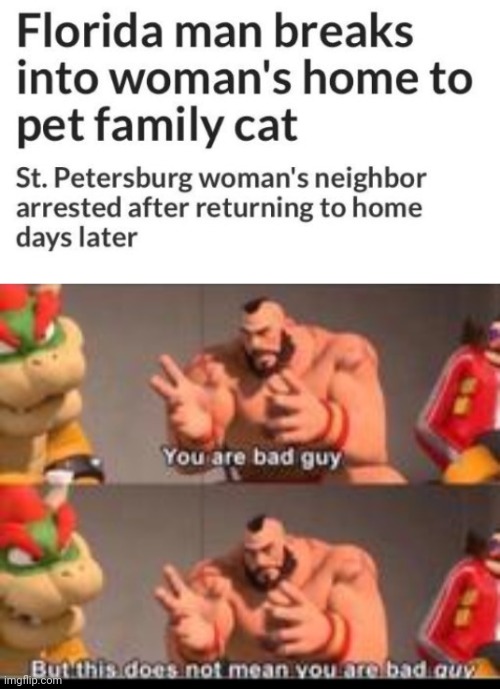 Neighbor arrested | image tagged in you are bad guy,reposts,repost,memes,cat,florida man | made w/ Imgflip meme maker