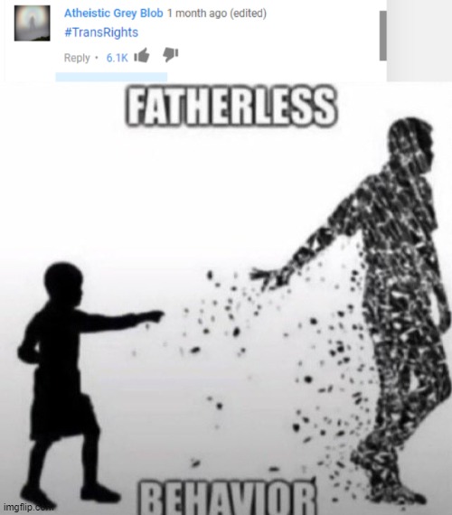 image tagged in fatherless behavior | made w/ Imgflip meme maker