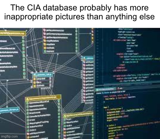 Meme #1,730 | The CIA database probably has more inappropriate pictures than anything else | image tagged in database,shower thoughts,cia,inappropriate,pictures,goat | made w/ Imgflip meme maker