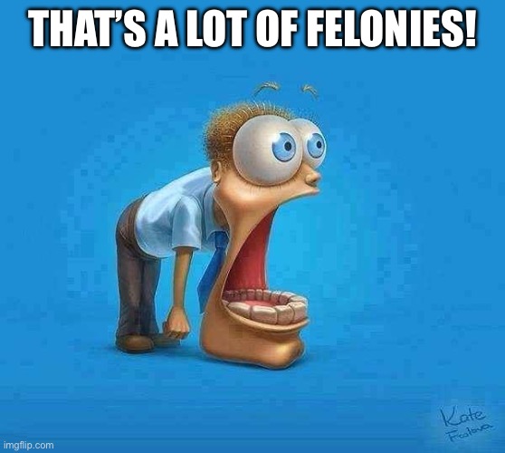 jaw dropping | THAT’S A LOT OF FELONIES! | image tagged in jaw dropping | made w/ Imgflip meme maker