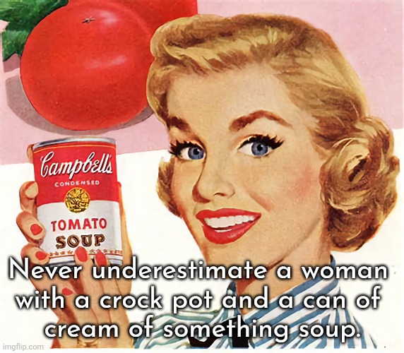 A Can of Soup | Never underestimate a woman 
with a crock pot and a can of 
cream of something soup. | image tagged in cooking,soup | made w/ Imgflip meme maker