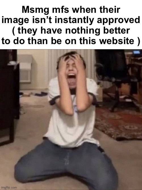 Msmg mfs when their image isn’t instantly approved
( they have nothing better to do than be on this website ) | made w/ Imgflip meme maker