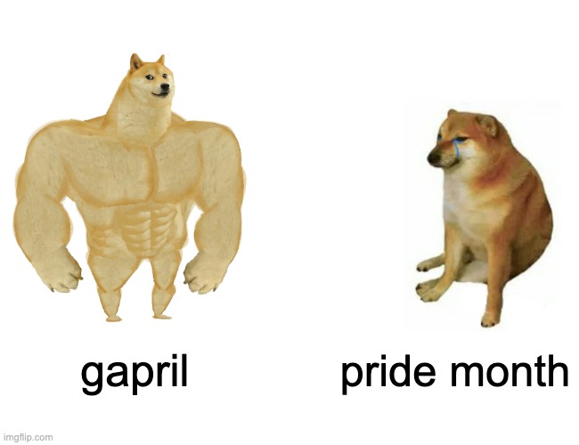 Missed opportunity | gapril; pride month | image tagged in memes,buff doge vs cheems | made w/ Imgflip meme maker