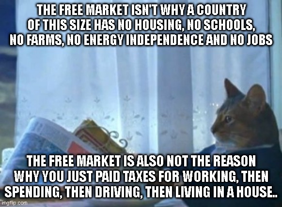 I Should Buy A Boat Cat | THE FREE MARKET ISN'T WHY A COUNTRY OF THIS SIZE HAS NO HOUSING, NO SCHOOLS, NO FARMS, NO ENERGY INDEPENDENCE AND NO JOBS; THE FREE MARKET IS ALSO NOT THE REASON WHY YOU JUST PAID TAXES FOR WORKING, THEN SPENDING, THEN DRIVING, THEN LIVING IN A HOUSE.. | image tagged in memes,i should buy a boat cat | made w/ Imgflip meme maker