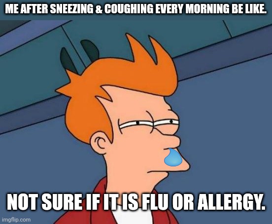 Futurama Fry Meme | ME AFTER SNEEZING & COUGHING EVERY MORNING BE LIKE. NOT SURE IF IT IS FLU OR ALLERGY. | image tagged in memes,bad,allergy | made w/ Imgflip meme maker