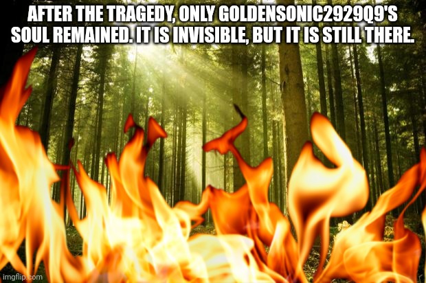 It still haunts us. | AFTER THE TRAGEDY, ONLY GOLDENSONIC2929Q9'S SOUL REMAINED. IT IS INVISIBLE, BUT IT IS STILL THERE. | made w/ Imgflip meme maker