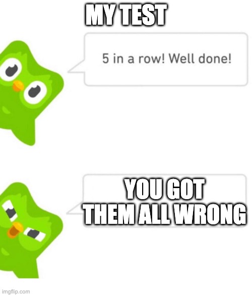 Duolingo 5 in a row | MY TEST; YOU GOT THEM ALL WRONG | image tagged in duolingo 5 in a row | made w/ Imgflip meme maker