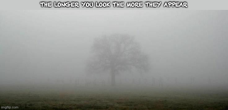The Longer you look the more they appear | THE LONGER YOU LOOK THE MORE THEY APPEAR | image tagged in the longer you look the more they appear | made w/ Imgflip meme maker