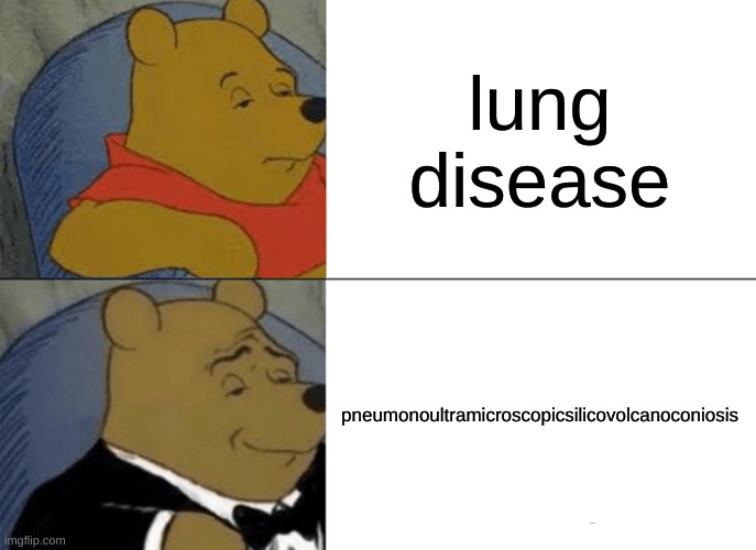 the correct way to say it | lung disease; pneumonoultramicroscopicsilicovolcanoconiosis | image tagged in memes,tuxedo winnie the pooh,funny,funny memes | made w/ Imgflip meme maker