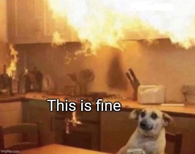 The OG doggo | This is fine | image tagged in this is fine,doggo,house fire,apathy,whatever | made w/ Imgflip meme maker