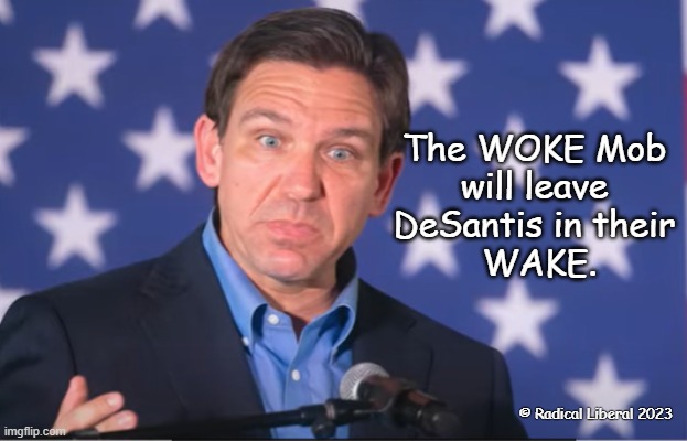 Wokey Woke | The WOKE Mob
 will leave 
DeSantis in their
 WAKE. © Radical Liberal 2023 | image tagged in woke,wake,desantis,moron,bullshit | made w/ Imgflip meme maker