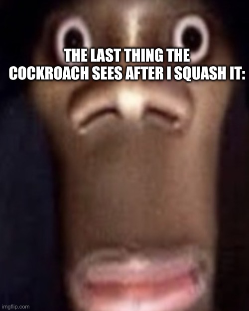 He was a good man. | THE LAST THING THE COCKROACH SEES AFTER I SQUASH IT: | made w/ Imgflip meme maker