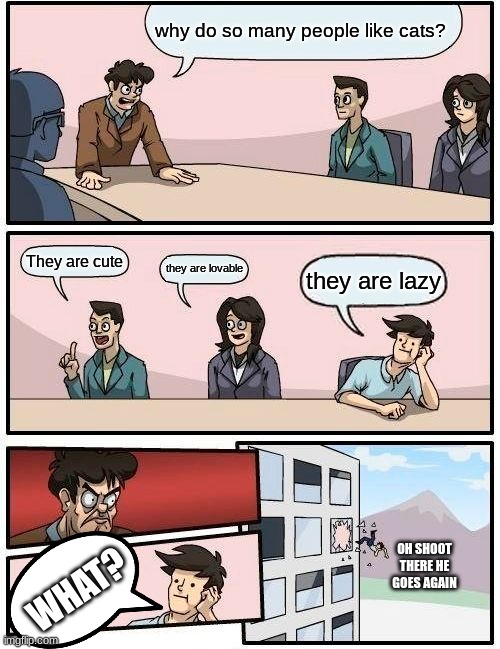 Cats | why do so many people like cats? They are cute; they are lovable; they are lazy; OH SHOOT THERE HE GOES AGAIN; WHAT? | image tagged in memes,boardroom meeting suggestion | made w/ Imgflip meme maker